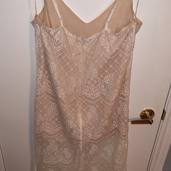 Lush Lace Dress - Picture 6 of 7